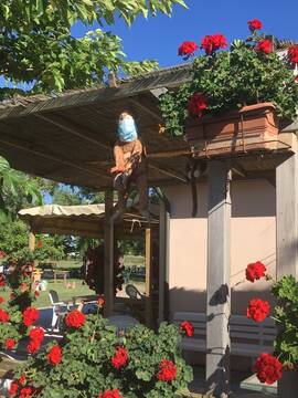 Welcome to the Jungle