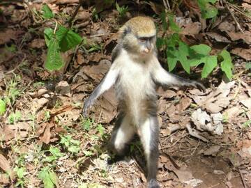 Public Photo of bali68