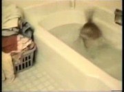 Video amatoriale di riv_model_test