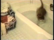 Video amatoriale di liramod2